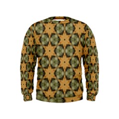 Faux Animal Print Pattern Boys  Sweatshirts