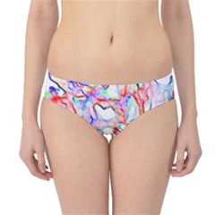 Soul Colour Light Hipster Bikini Bottoms