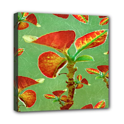 Tropical Floral Print Mini Canvas 8  X 8 