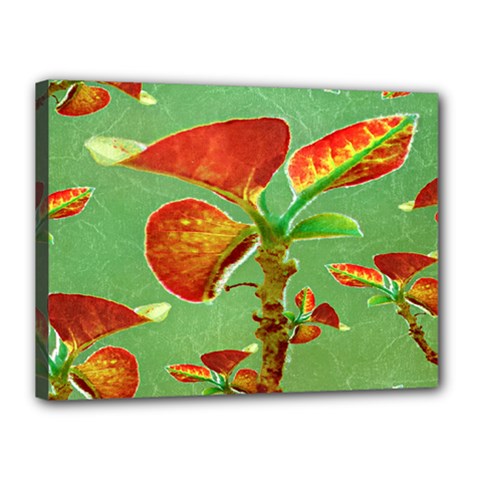 Tropical Floral Print Canvas 16  X 12 