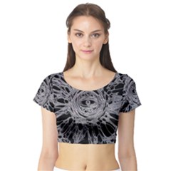 The Others 1 Short Sleeve Crop Top