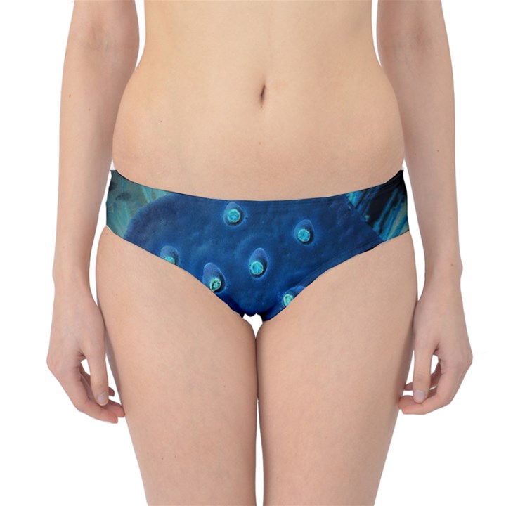 Blue Plant Hipster Bikini Bottoms