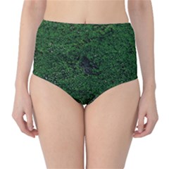 Green Moss High-waist Bikini Bottoms by InsanityExpressed