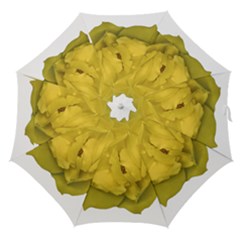 Isolated Yellow Rose Photo Straight Umbrellas