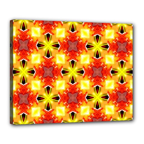 Cute Pretty Elegant Pattern Canvas 20  X 16 