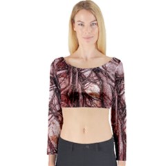 The Bleeding Tree Long Sleeve Crop Top by InsanityExpressedSuperStore