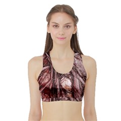 The Bleeding Tree Women s Sports Bra With Border