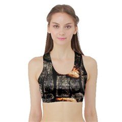 Change Women s Sports Bra With Border