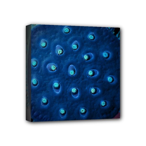 Blue Plant Mini Canvas 4  X 4 