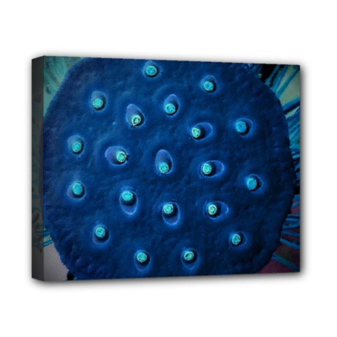 Blue Plant Canvas 10  X 8 