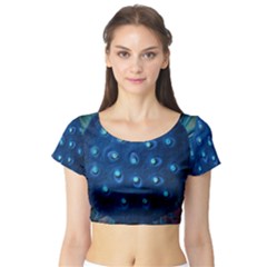 Short Sleeve Crop Top (tight Fit)