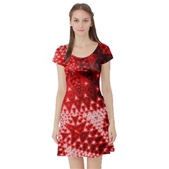 Red Fractal Lace Short Sleeve Skater Dress