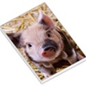 Sweet Piglet Large Memo Pads View1