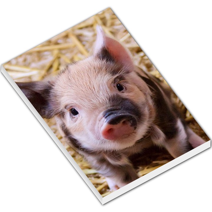 Sweet Piglet Large Memo Pads