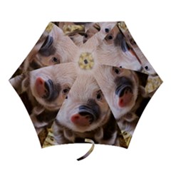 Sweet Piglet Mini Folding Umbrellas