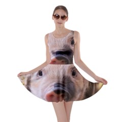 Sweet Piglet Skater Dresses