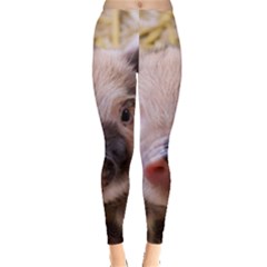 Sweet Piglet Women s Leggings