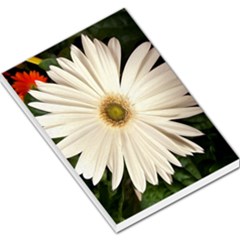 Daisyc Large Memo Pads