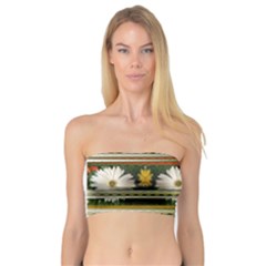 Pattern Flower Women s Bandeau Tops