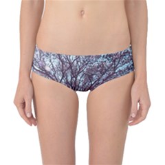 Under Tree Paint Classic Bikini Bottoms