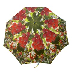 Rowan Folding Umbrellas