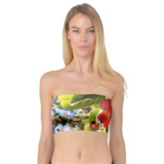 Rowan Women s Bandeau Tops