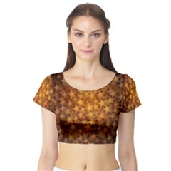 Short Sleeve Crop Top (tight Fit)