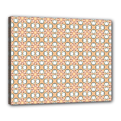 Cute Pretty Elegant Pattern Canvas 20  X 16 