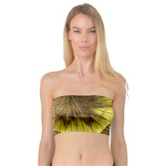 Special Fractal 35cp Women s Bandeau Tops by ImpressiveMoments