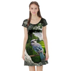 Bird In The Tree Short Sleeve Skater Dresses by infloence