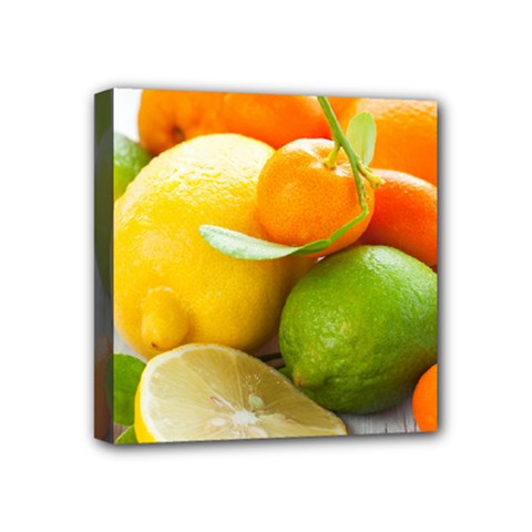 Citrus Fruits Mini Canvas 4  X 4  by emkurr