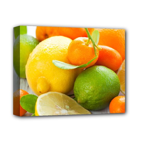 Citrus Fruits Deluxe Canvas 14  X 11  by emkurr