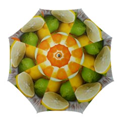 Citrus Fruits Golf Umbrellas by emkurr