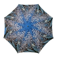 Dandelion 2015 0703 Golf Umbrellas