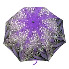 Dandelion 2015 0706 Folding Umbrellas by JAMFoto