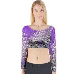 Dandelion 2015 0706 Long Sleeve Crop Top