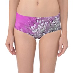 Dandelion 2015 0708 Mid-waist Bikini Bottoms