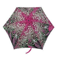 Dandelion 2015 0709 Mini Folding Umbrellas