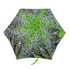 Dandelion 2015 0715 Mini Folding Umbrellas