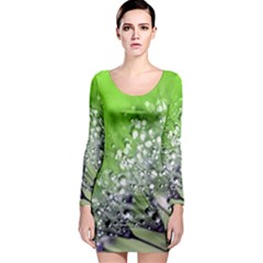 Dandelion 2015 0715 Long Sleeve Bodycon Dresses