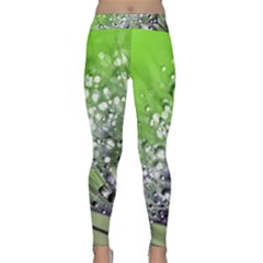 Dandelion 2015 0715 Yoga Leggings by JAMFoto