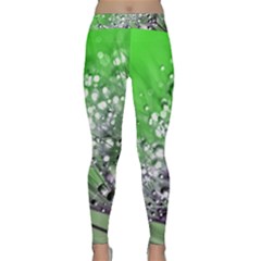 Dandelion 2015 0716 Yoga Leggings by JAMFoto