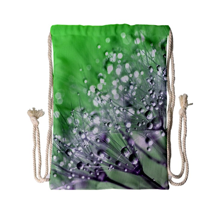 Dandelion 2015 0716 Drawstring Bag (Small)