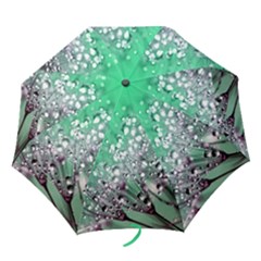 Dandelion 2015 0718 Folding Umbrellas