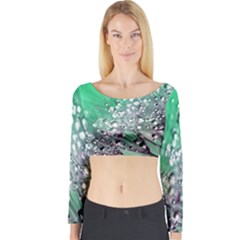 Dandelion 2015 0718 Long Sleeve Crop Top