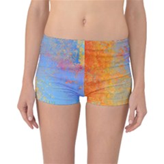 Hot And Cold Reversible Boyleg Bikini Bottoms