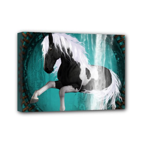 Beautiful Horse With Water Splash  Mini Canvas 7  X 5 