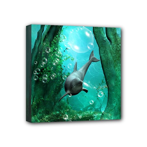 Wonderful Dolphin Mini Canvas 4  X 4 