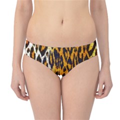 Animal Print Abstract  Hipster Bikini Bottoms