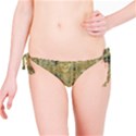 Beautiful  Decorative Vintage Design Bikini Bottoms View1